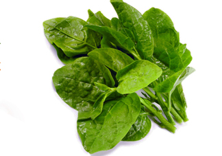 木耳菜是什么季節(jié)的菜？木耳和木耳菜有區(qū)別嗎