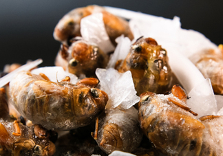 知了殼能能吃嗎？知了殼怎么吃？