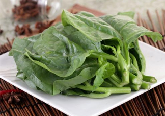 木耳菜和什么食物相克？木耳菜不能和什么一起吃