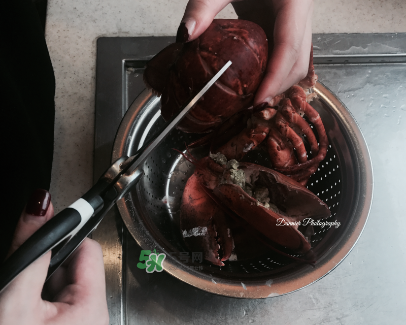 波士頓龍蝦意面的做法 波士頓龍蝦意面怎么做 波士頓龍蝦意面的做法 波士頓龍蝦意面怎么做