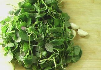 野莧菜怎么做好吃？野莧菜怎么保存