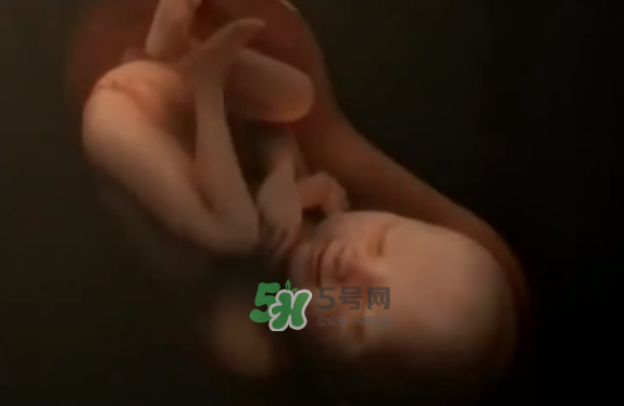 懷孕初期怎么保胎？陰道出血是流產(chǎn)征兆嗎？