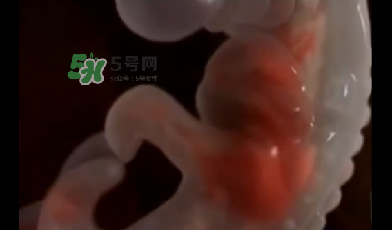 懷孕初期怎么保胎？陰道出血是流產(chǎn)征兆嗎？