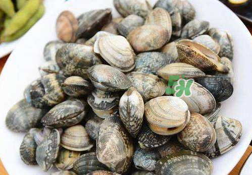 花蛤是什么 花蛤多少錢(qián)一斤市場(chǎng)價(jià) 花蛤是什么 花蛤多少錢(qián)一斤市場(chǎng)價(jià)