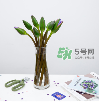 鮮花怎么保存時間長 鮮花怎么保鮮 鮮花怎么保存時間長 鮮花怎么保鮮