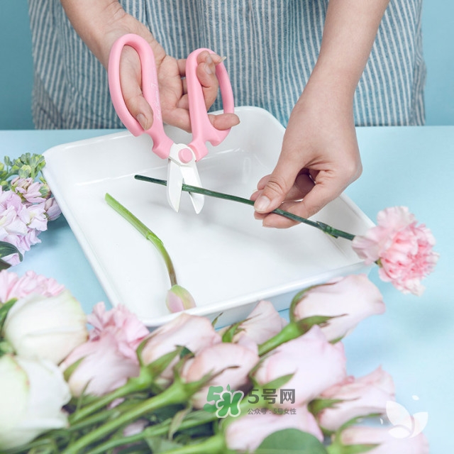 鮮花怎么保存時間長 鮮花怎么保鮮 鮮花怎么保存時間長 鮮花怎么保鮮