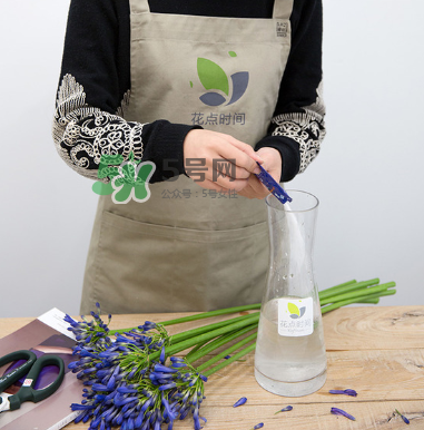 鮮花怎么保存時間長 鮮花怎么保鮮 鮮花怎么保存時間長 鮮花怎么保鮮