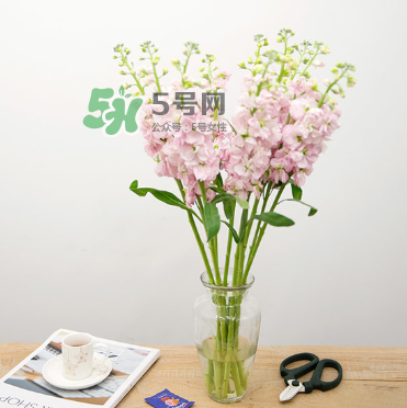 鮮花怎么保存時間長 鮮花怎么保鮮 鮮花怎么保存時間長 鮮花怎么保鮮