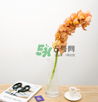 鮮花怎么保存時間長 鮮花怎么保鮮 鮮花怎么保存時間長 鮮花怎么保鮮