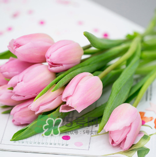 鮮花怎么保存時間長 鮮花怎么保鮮 鮮花怎么保存時間長 鮮花怎么保鮮