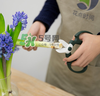 鮮花怎么保存時間長 鮮花怎么保鮮 鮮花怎么保存時間長 鮮花怎么保鮮