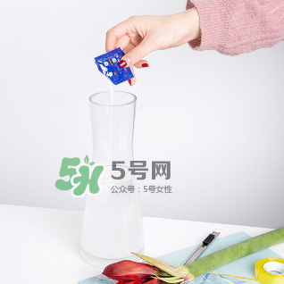 鮮花怎么保存時間長 鮮花怎么保鮮 鮮花怎么保存時間長 鮮花怎么保鮮