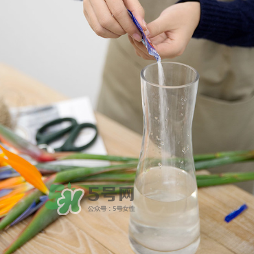 鮮花怎么保存時間長 鮮花怎么保鮮 鮮花怎么保存時間長 鮮花怎么保鮮