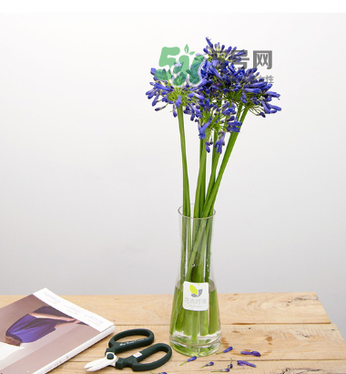 鮮花怎么保存時間長 鮮花怎么保鮮 鮮花怎么保存時間長 鮮花怎么保鮮