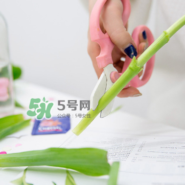 鮮花怎么保存時間長 鮮花怎么保鮮 鮮花怎么保存時間長 鮮花怎么保鮮