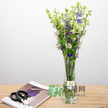 鮮花怎么保存時間長 鮮花怎么保鮮 鮮花怎么保存時間長 鮮花怎么保鮮