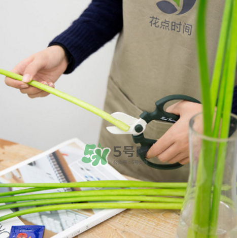 鮮花怎么保存時間長 鮮花怎么保鮮 鮮花怎么保存時間長 鮮花怎么保鮮