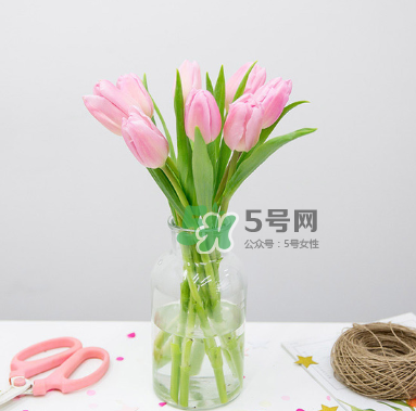 鮮花怎么保存時間長 鮮花怎么保鮮 鮮花怎么保存時間長 鮮花怎么保鮮