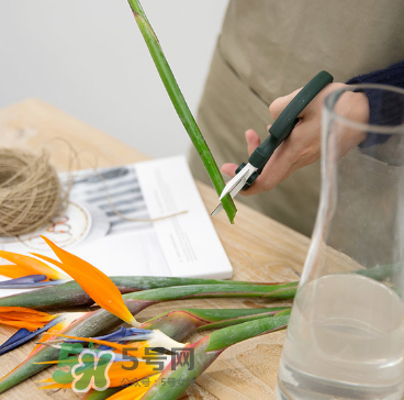鮮花怎么保存時間長 鮮花怎么保鮮 鮮花怎么保存時間長 鮮花怎么保鮮