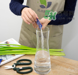 鮮花怎么保存時間長 鮮花怎么保鮮 鮮花怎么保存時間長 鮮花怎么保鮮