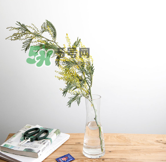 鮮花怎么保存時間長 鮮花怎么保鮮 鮮花怎么保存時間長 鮮花怎么保鮮