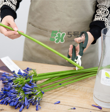 鮮花怎么保存時間長 鮮花怎么保鮮 鮮花怎么保存時間長 鮮花怎么保鮮