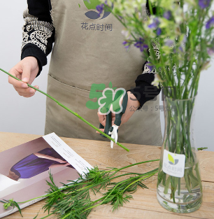 鮮花怎么保存時間長 鮮花怎么保鮮 鮮花怎么保存時間長 鮮花怎么保鮮