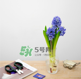 鮮花怎么保存時間長 鮮花怎么保鮮 鮮花怎么保存時間長 鮮花怎么保鮮