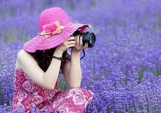 八月份還有薰衣草嗎？8月份還有薰衣草嗎？