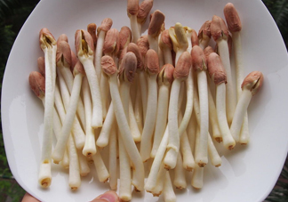 花生芽可以生吃嗎？花生芽能生吃嗎