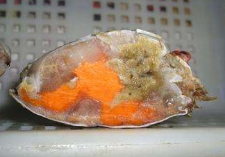 梭子蟹有蟹黃嗎？梭子蟹蟹黃在哪里？