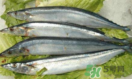 鰣魚(yú)和刀魚(yú)哪個(gè)貴？長(zhǎng)江三鮮哪個(gè)最貴