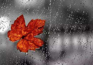 2017處暑會下雨嗎？處暑會下雨好嗎？