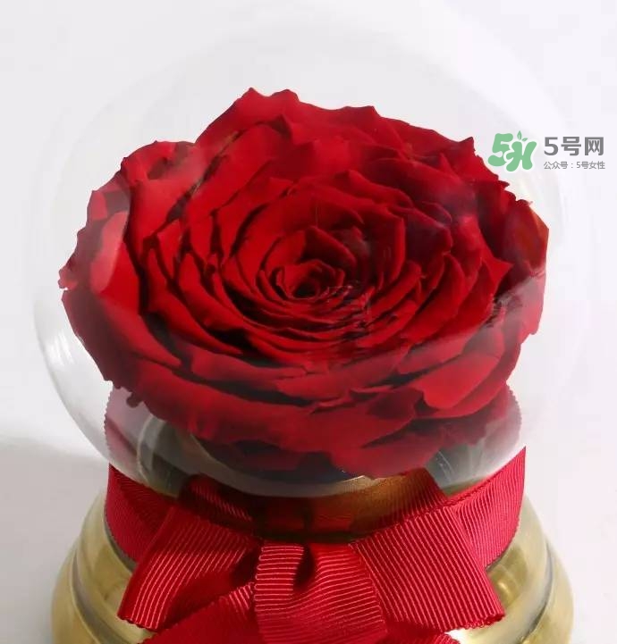 野獸派2017七夕禮盒有哪些？野獸派2017七夕禮盒價(jià)格