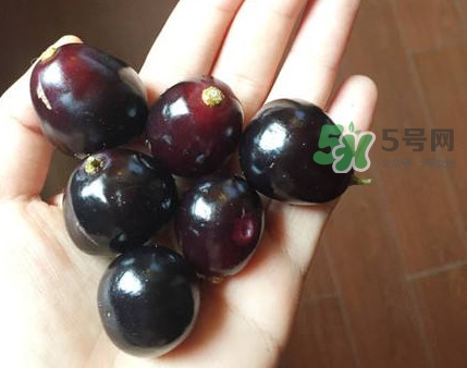 烏梅是酸性還是堿性？烏梅是熱性還是涼性