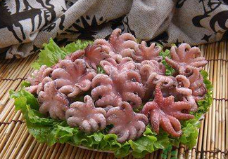 八爪魚煮多久才好？八爪魚需要煮多久？