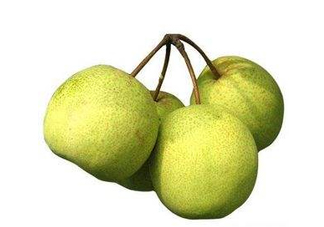 碭山梨好還是皇冠梨好？碭山梨和皇冠梨的區(qū)別