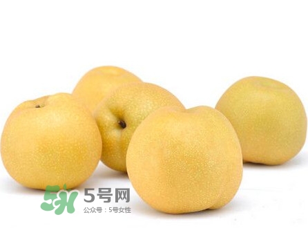 碭山梨什么時(shí)候成熟？碭山梨幾月份成熟