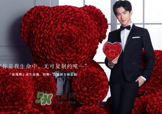 roseonly熊多大_roseonly玫瑰熊尺寸_roseonly玫瑰熊怎么買 roseonly熊多大_roseonly玫瑰熊尺寸_roseonly玫瑰熊怎么買