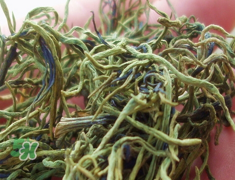 海英菜的營養(yǎng)價(jià)值_海英菜的功效與作用及食用方法 海英菜的營養(yǎng)價(jià)值_海英菜的功效與作用及食用方法