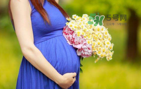 孕婦可以拔牙嗎？孕婦可以拔智齒嗎？