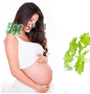 孕婦可以拔牙嗎？孕婦可以拔智齒嗎？