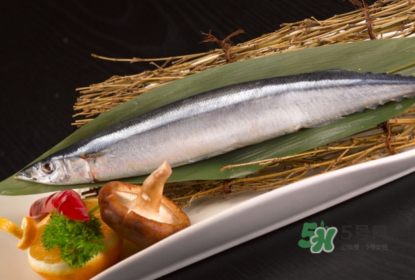 秋刀魚是不是鲅魚？秋刀魚和鲅魚的區(qū)別