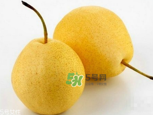 貢梨可以做冰糖雪梨嗎？貢梨可以燉川貝嗎？