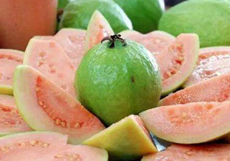 芭樂和石榴有什么區(qū)別？芭樂要吃硬的還是軟的？