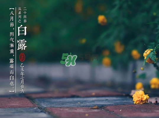 2017白露后天氣還熱嗎_2017白露后是秋天嗎 2017白露后天氣還熱嗎_2017白露后是秋天嗎