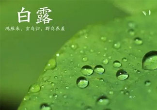 2017白露后天氣還熱嗎_2017白露后是秋天嗎