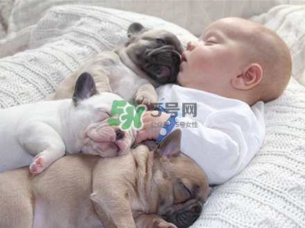 孕婦不能養(yǎng)寵物嗎？為什么孕婦不能養(yǎng)寵物？