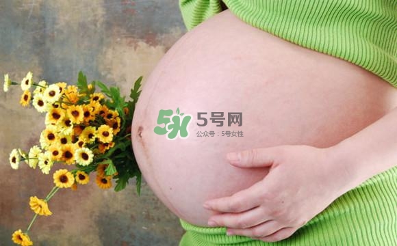 為什么孕婦的肚子有尖有圓？孕婦肚子尖圓對(duì)照?qǐng)D