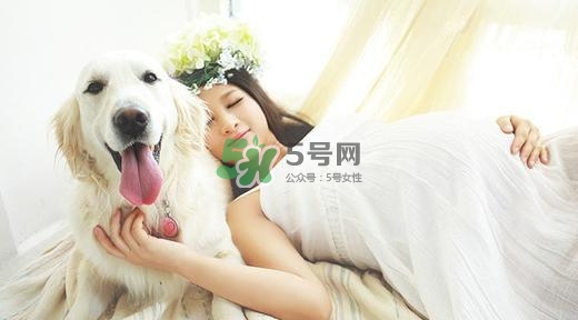 孕婦不能養(yǎng)寵物嗎？為什么孕婦不能養(yǎng)寵物？